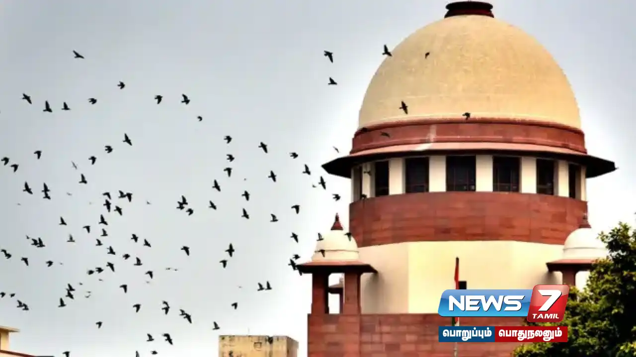 "Krishnagiri sexual assault case... should come forward and take up the investigation" - Women Lawyers Association Vice President's letter to the Supreme Court!