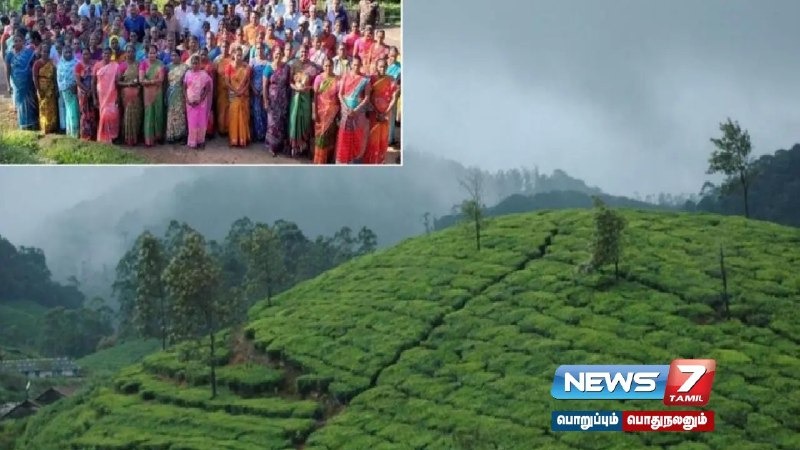 The National Human Rights Commission began a four-day inquiry into the Mancholai case.