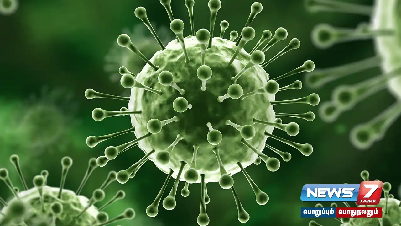 News7 Tamil news echo - #NipahVirus testing center resumed on Kerala, Tamil Nadu border!