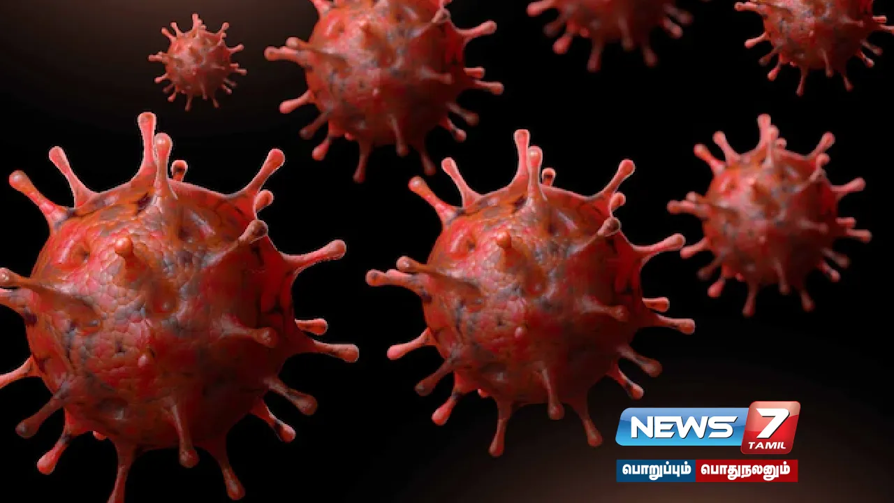 corona virus, europe, germany