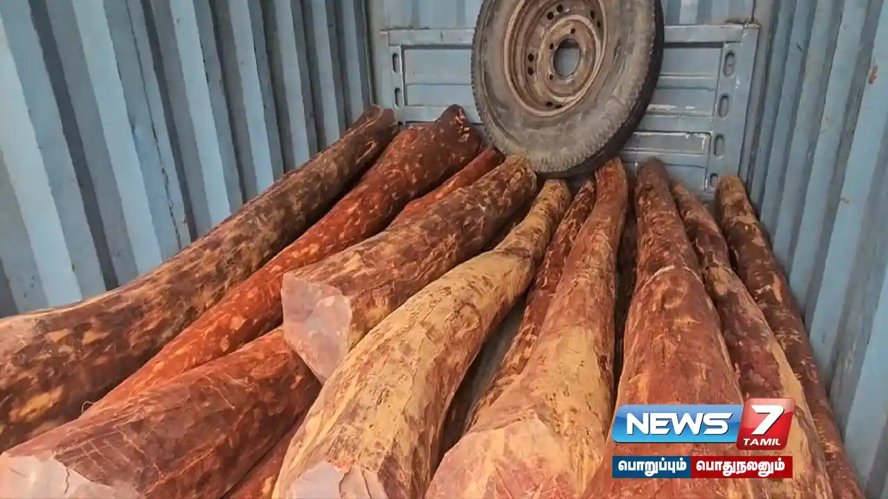 Rs. 25 lakh worth of sheep logs smuggling… Police not handing over the culprits to forest department… What is the reason?