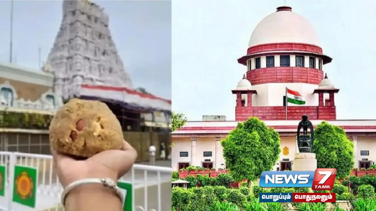 thirupati, laddu , supreme court