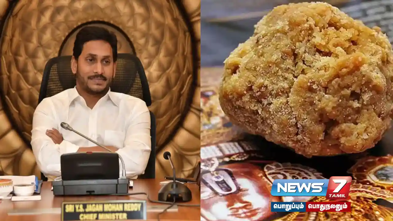 #Tirupati Laddoo Issue - YRS Congress Case in High Court!
