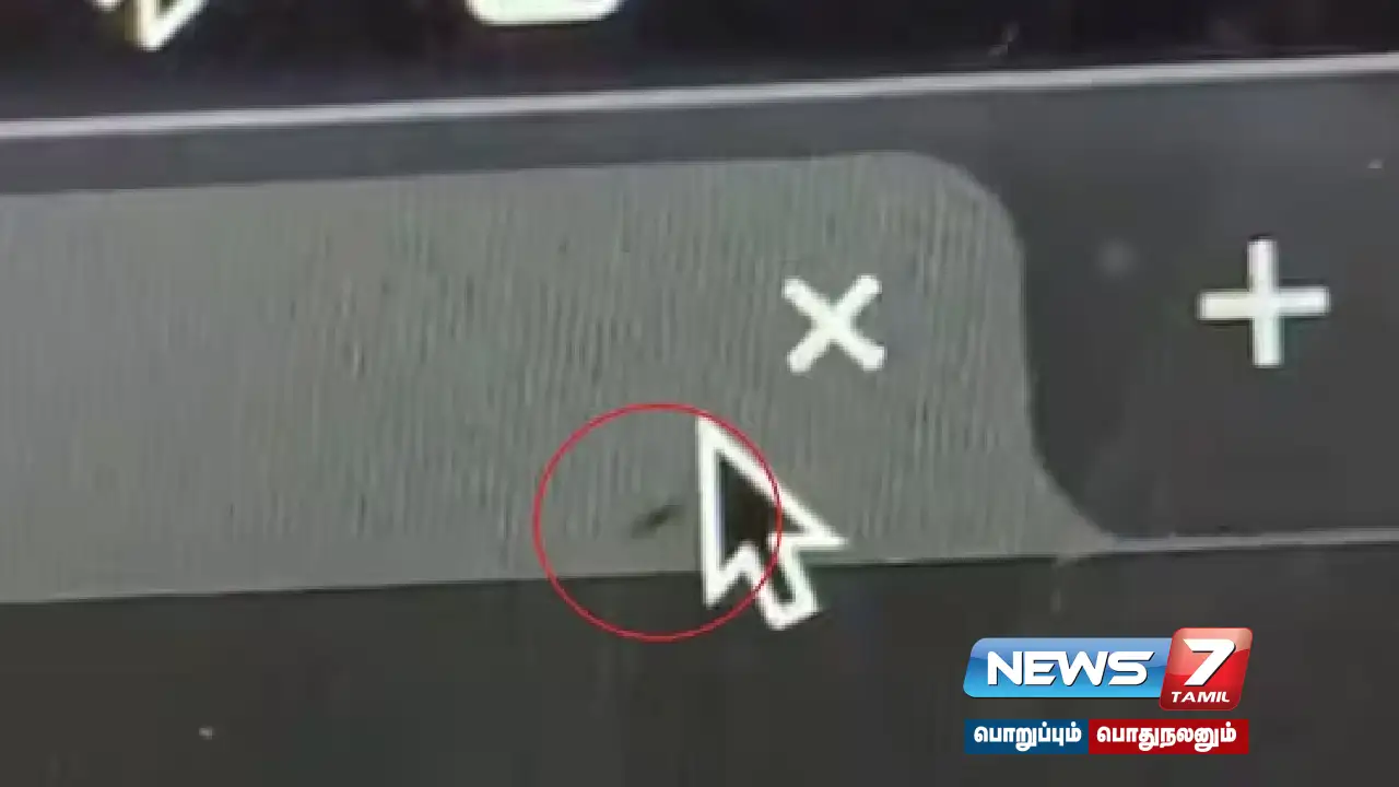 A video of an ant crawling inside a laptop screen is going viral on the internet.