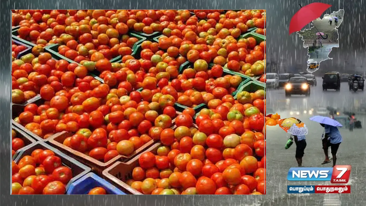 Koyambedu market prices of tomatoes have gone up sharply due to the echo of heavy rain warning.