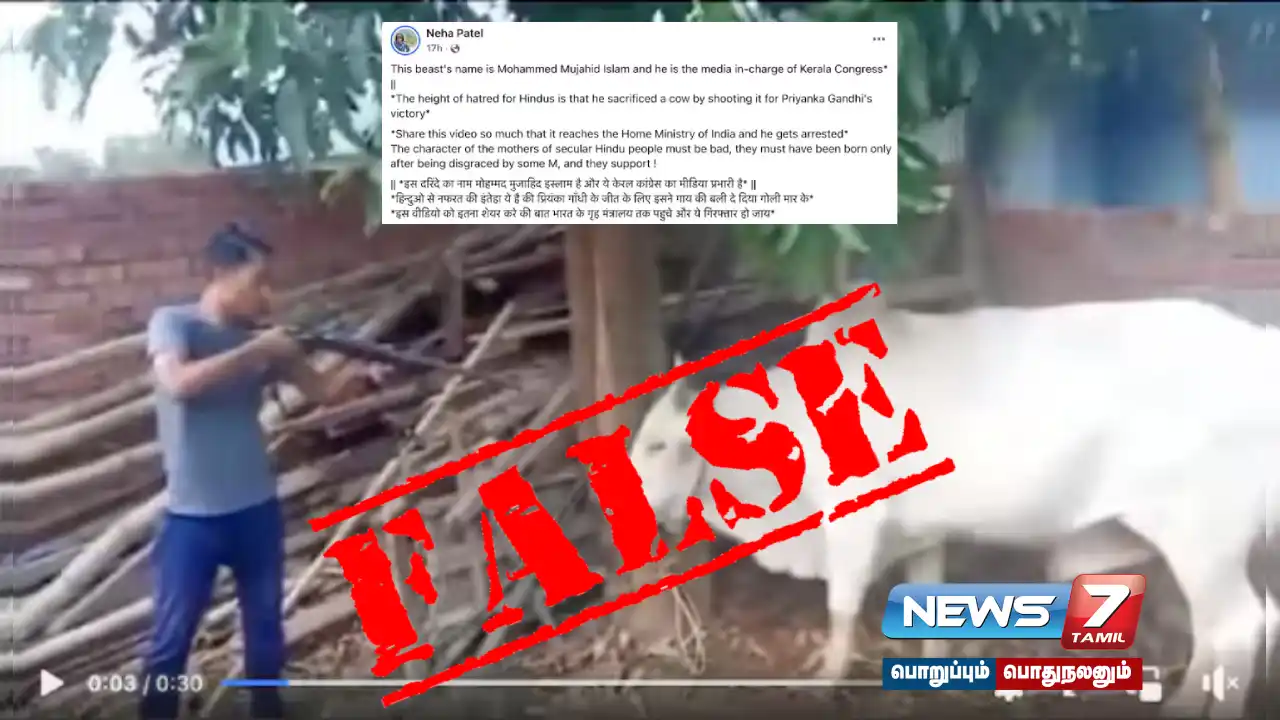 Did a Congress worker shoot a cow to celebrate Priyanka Gandhi's victory in the Wayanad by-election?