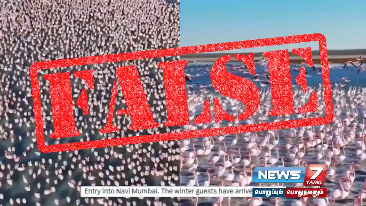 Is the viral post about 'flamingos in Navi Mumbai' true?