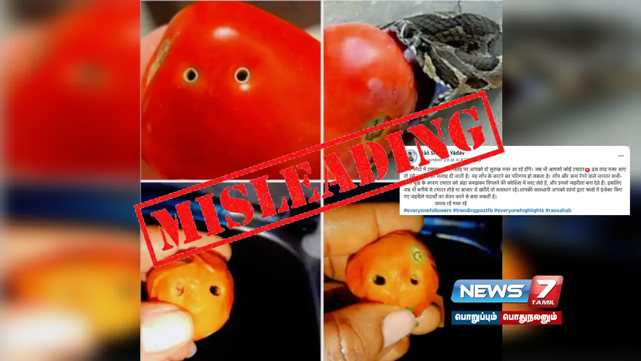 Is the viral post "If there are 2 holes in a tomato, it is the result of a snake bite.. don't eat it.." true?