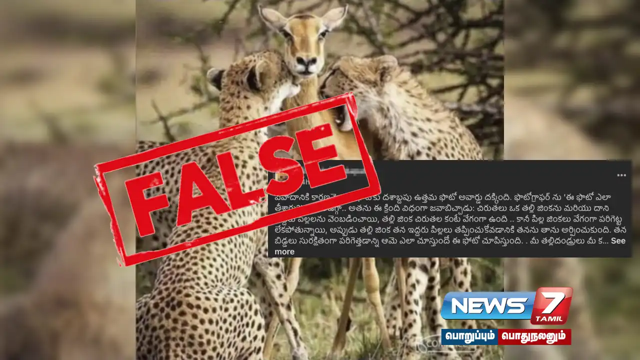 Is the viral post that says 'mother deer sacrificed her life to a tiger to save her baby deer' true?