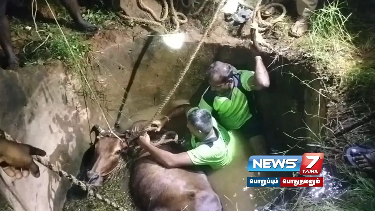 The fire and rescue department fought for three hours for the cow that fell into the well!