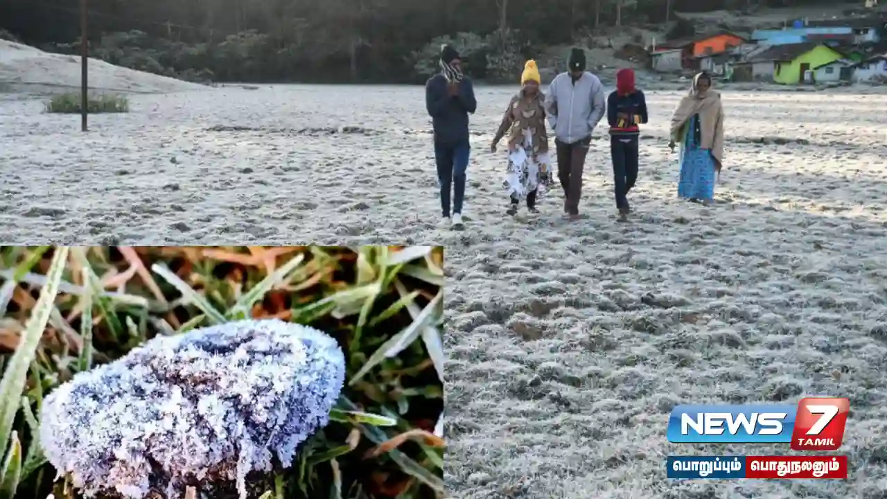 Wake up Early morning frost!